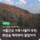 금주모텔 | 서울근교 가족 나들이 추천, 화담숲 예약부터 꿀팁까지 (아이 동반 후기)