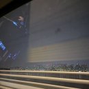 나비셀 동물의료센터 | 3월 (2)