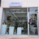 이끼핀나무