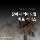 아라동물병원아라메디칼
