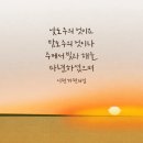 진주같은 소망(에스더 글) 이미지