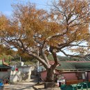 나진버스승강장 이미지