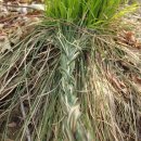 풍암한방병원 이미지