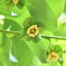 감꽃요양병원 이미지