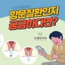 서초구항문외과 항문질환인지 궁금하다면