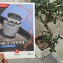 독일보청기부천북부센타 | 독일시그니아보청기 IX라인업과 지원금 라인업 안내