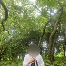 마르셀 하우스 이미지