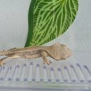 원주브리딩 이미지