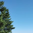 아야진부동산 공인중개사사무소 이미지