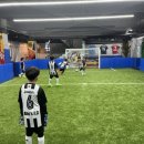 안스그룹 이미지