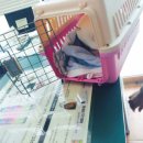 좌천동물병원 이미지