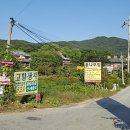 백운행정사사무소 이미지