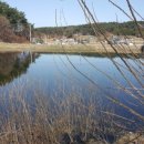 쟁골저수지 이미지