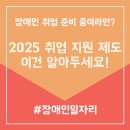 2025 장애인 취업 지원 제도 완전정리｜지원금부터 인턴까지 한눈에!