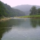 계곡의아침 이미지