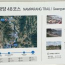 진월 돈탁마을 숲 이미지