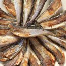 진양봉투 이미지