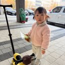 남대문 안경마을 | 두돌, 두번째생일, 용밀스튜디오 두돌촬영, 주렁주렁동물원영등포점, 서울식물원구경, 파파야나인푸쉬카