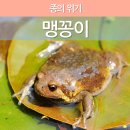 맹꽁이 이미지