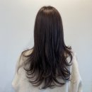 더 보노 헤어 네이버블로그