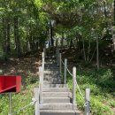 충남 부여 여행 가볼만한곳 인생샷 하트 포토존 부여 성흥산 사랑나무
