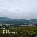 문화목장 | 증평 벨포레리조트 35평 후기| 썸머랜드•벨포레목장 아이와 다녀온 2박 3일 여름휴가