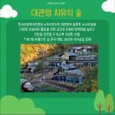 대관령 치유의 숲 이미지