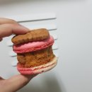 바이러브하니