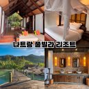 장관빌라 | 나트랑 풀빌라 리조트 추천 랄리아 닌반베이 L’Alya Ninh Van Bay 숙박 후기