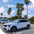 푸른카서비스 | 제주도 렌트카 가격비교 제주 렌트카 예약 취소