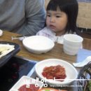 채드림 | [일산지 채드림] 고기맛에 눈뜬 베이뷔~하지만....ㅠ.ㅠ맛이음똬.