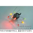 밥풀과학 이미지