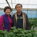 이병연농장 이미지