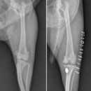 토닥토닥동물병원 이미지