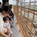 율하자연어린이집 이미지