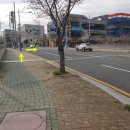웅천초등학교 앞 이미지