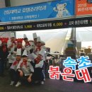 속초붉은대게 프레시안