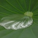 다산1리 이미지