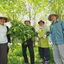 소호산촌협동조합 이미지