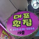 손대포