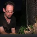 [VOA 영어뉴스] 'Guerrilla Gardeners' Tackle Urban Eyesores 이미지