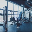 고구마 휘트니스 이미지