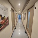 웃는돌 참치 이미지