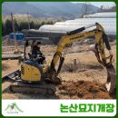 가야곡면사무소 | 논산묘지개장 가야곡면 분묘개장 현장 작업 사례