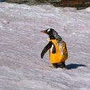 READ n PLAY(For Book Quiz) 이미지