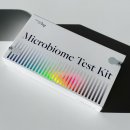 건강종합면역찜질방 | 유산균 추천 장건강 프로바이오틱스 엠프로 면역 장 내 미생물 검사 후기