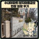 금호공원 | 수내아파트:양지마을금호 현장 임장 후기