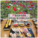 시원국제상무 | 일산호수공원 방문후기, 고양국제꽃박람회 기간, 고양국제꽃박람회 입장료, 상무초밥 일산라페스타점