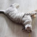 우리아리 이미지