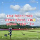 보롬제주 | [제주 필수코스] 계절마다 달라지는 서귀포 정원카페 “보롬왓” 10월 후기/메뉴/가격